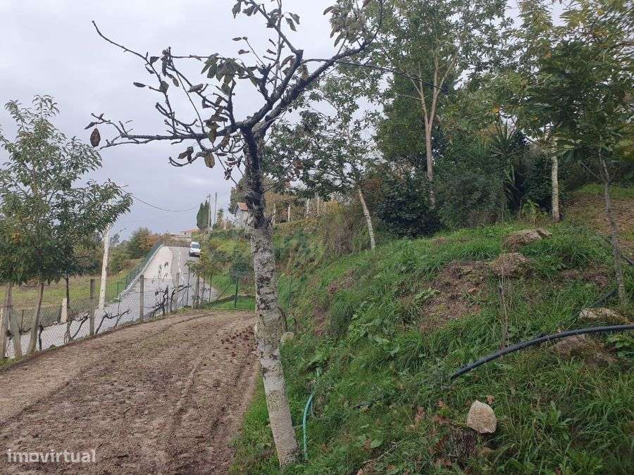 Parcela de Terreno, Avessadas e Rosém-6