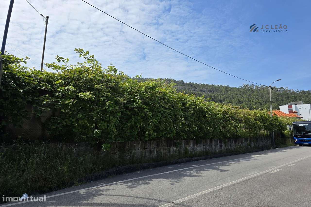 Terreno Rustico c/ 7969m2, para construção no Centro de Baltar - Grande imagem: 3/20