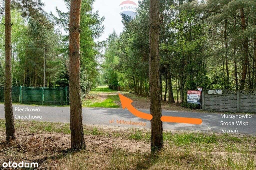 Wiosna, malownicza ze stawem dla miłośników natury - Pełny obrazek: 5/16