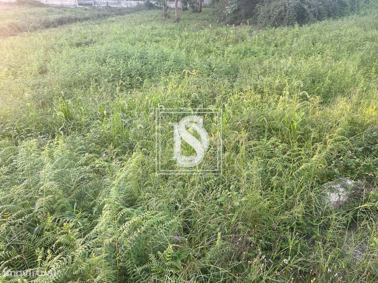 Terreno em Eiriz - Grande imagem: 5/7