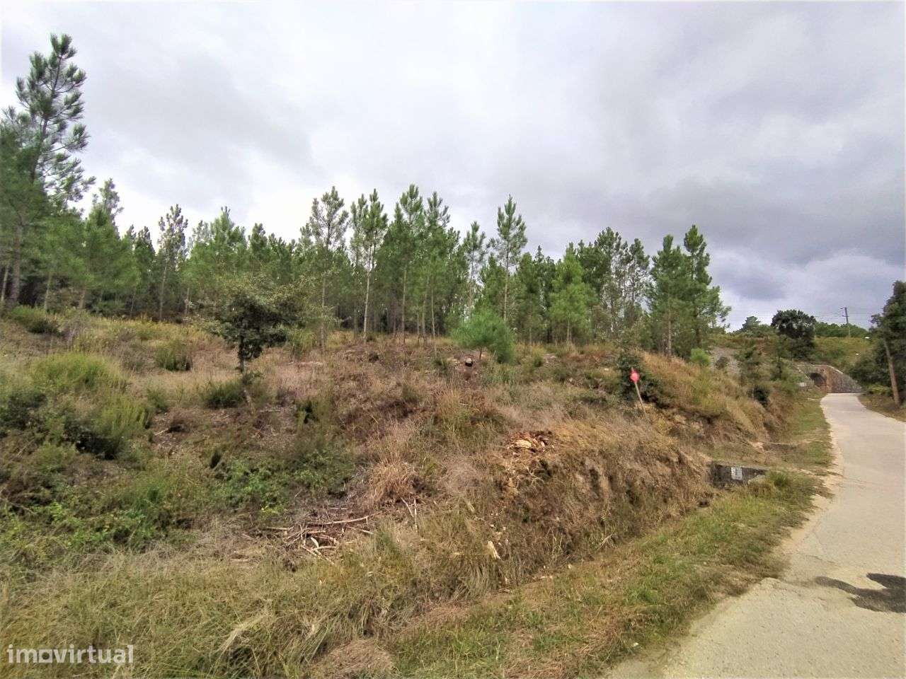 Terreno Para Construção na Lameirinha, Seiça! - Grande imagem: 3/4