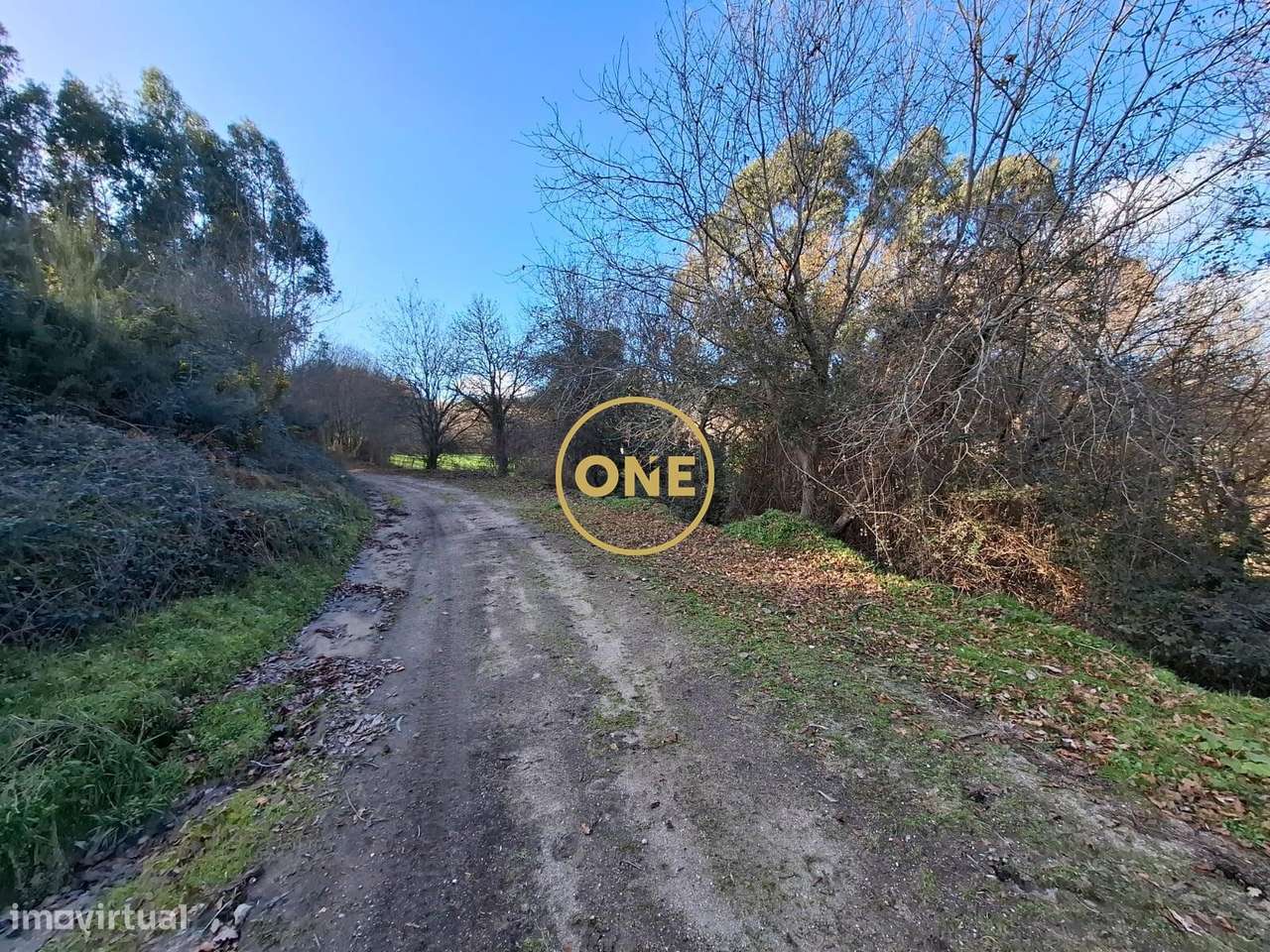 Terreno Rústico em Vade, Vila Verde - Grande imagem: 4/13