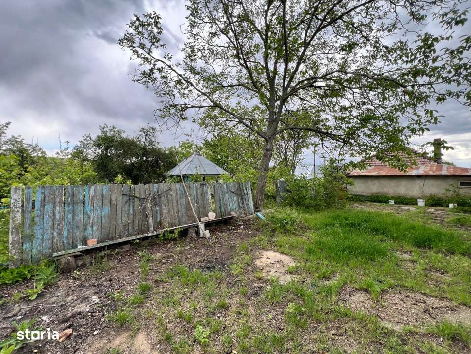 Casa + teren 4430 mp, vie si pomi fructiferi, 22 km de Tecuci-11