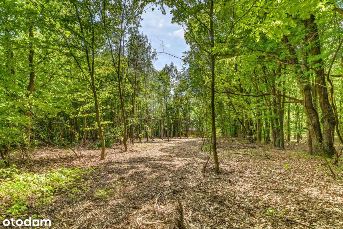 Działka z wydanymi warunkami zabudowy 2 domy - Pełny obrazek: 1/11