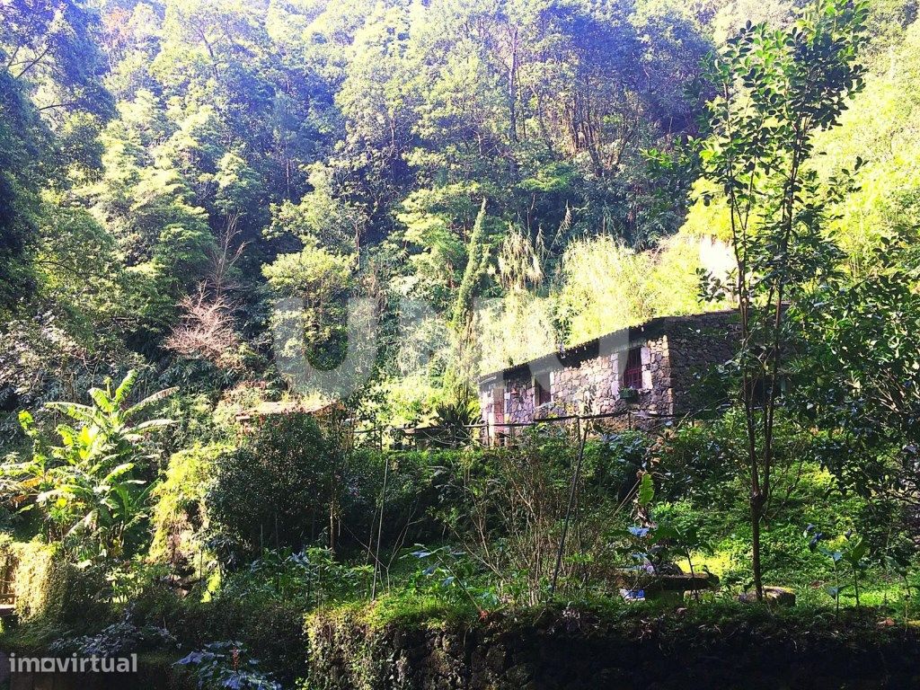 Casa isolada V1 com Terreno de 1.285 m2 em Água de Pau, L...