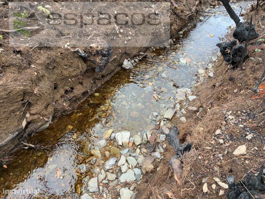 Cabeço dos Penedos - Grande imagem: 5/14