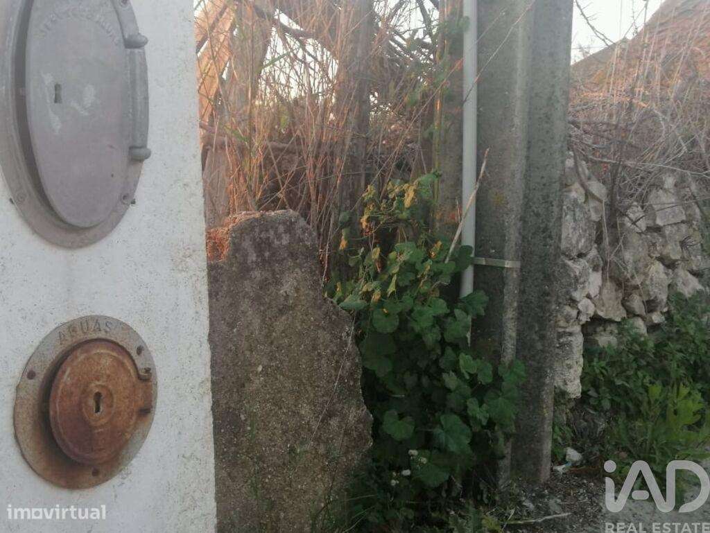 Casa / Villa em Torres Novas (São Pedro), Lapas e Ribeira Branca de 60 - Grande imagem: 3/29