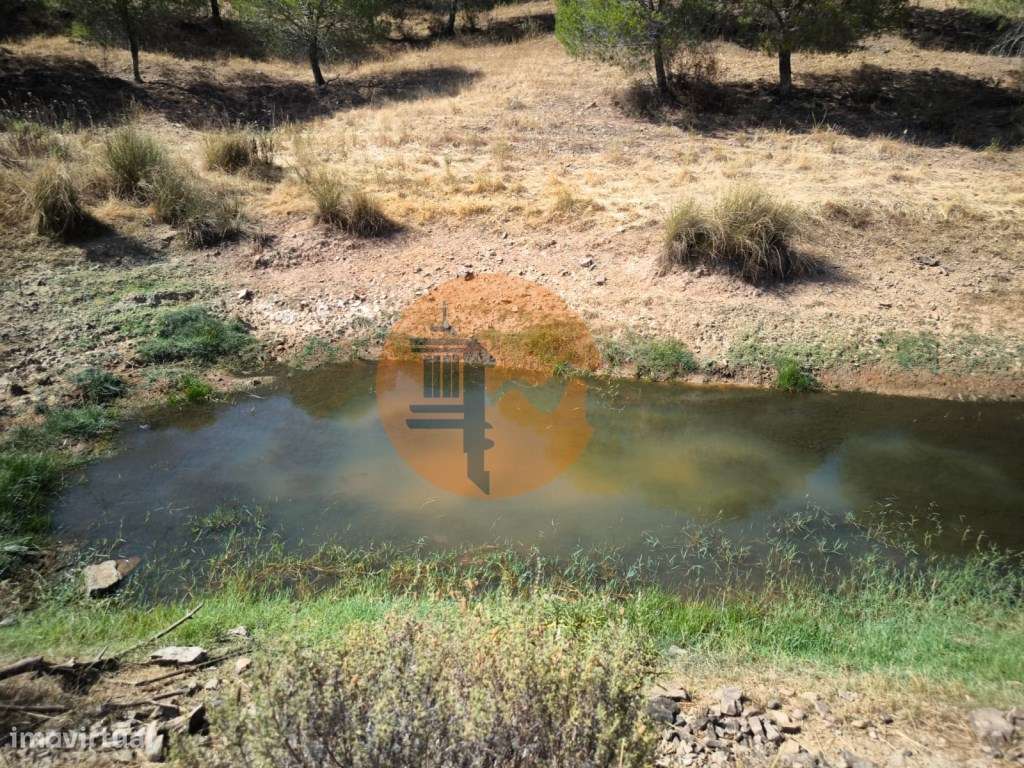 TERRENO COM 11 HECTARES - VISTA MAR - LAGO PRIVADO - EM VALE DAS ZO... - Grande imagem: 3/32