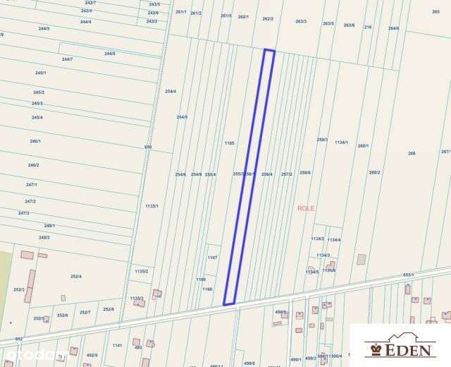 Działka budowlano-rolna 6615m2 - Role pod Łukowem - Pełny obrazek: 4/7