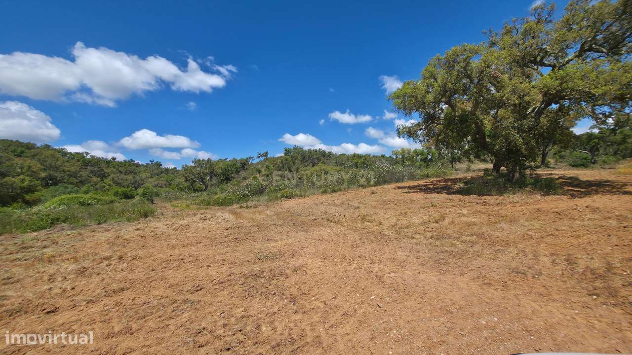 Herdade 237 Hectares Elevado Potencial de Desenvolvimento, Santiago do-12