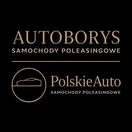 AUTOBORYS & POLSKIEAUTO SAMOCHODY POLEASINGOWE Z GWARANCJA logo