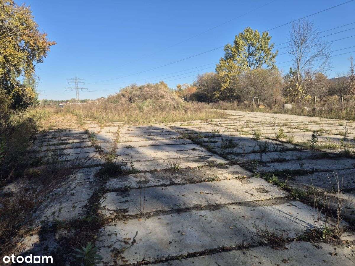 Działka 7100m2 | Ogrodzona | Cicha okolica-4
