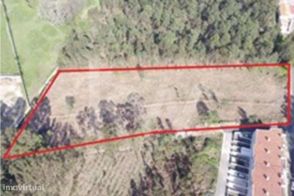 Oportunidade Única de Investimento - Grande imagem: 3/6