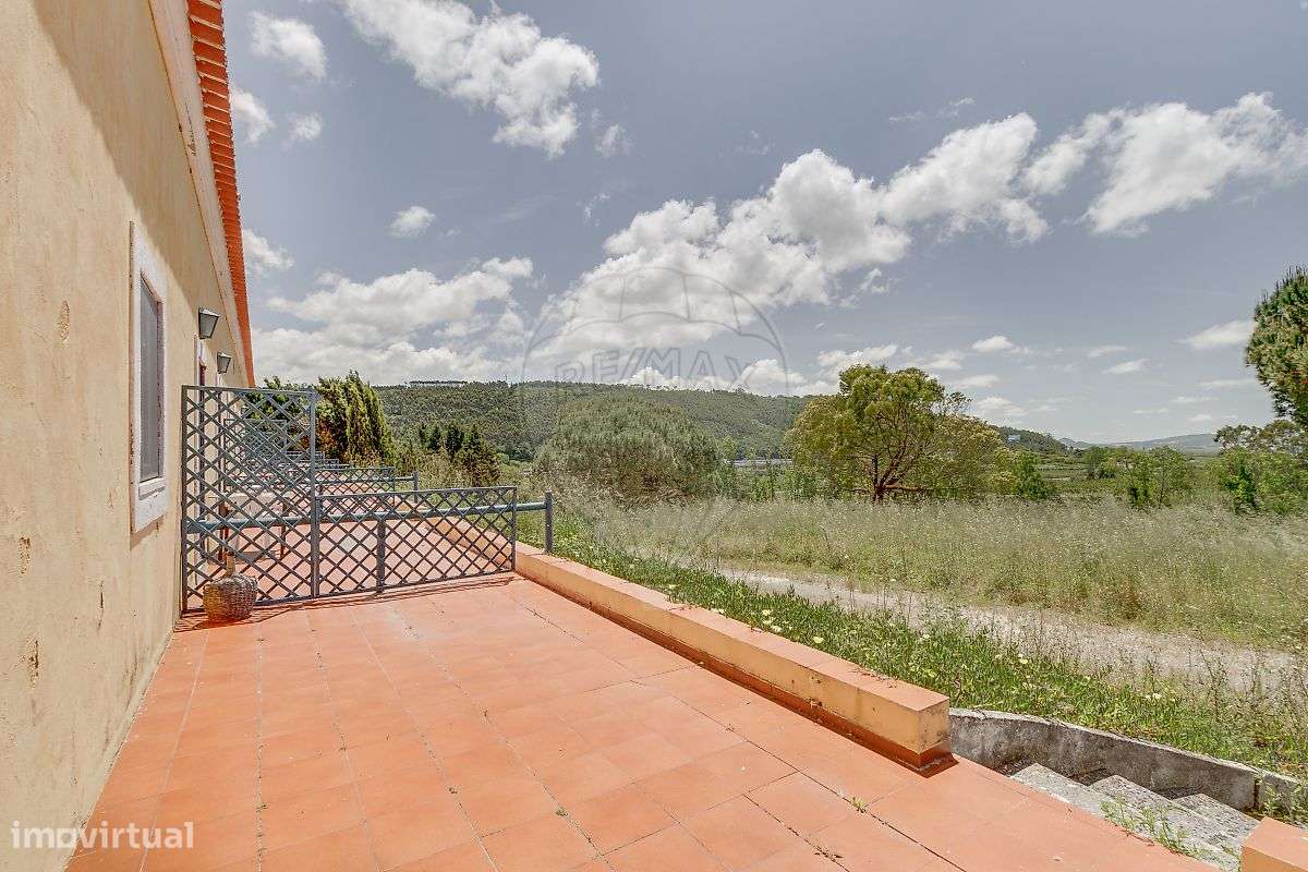 Quinta T21 para venda-20