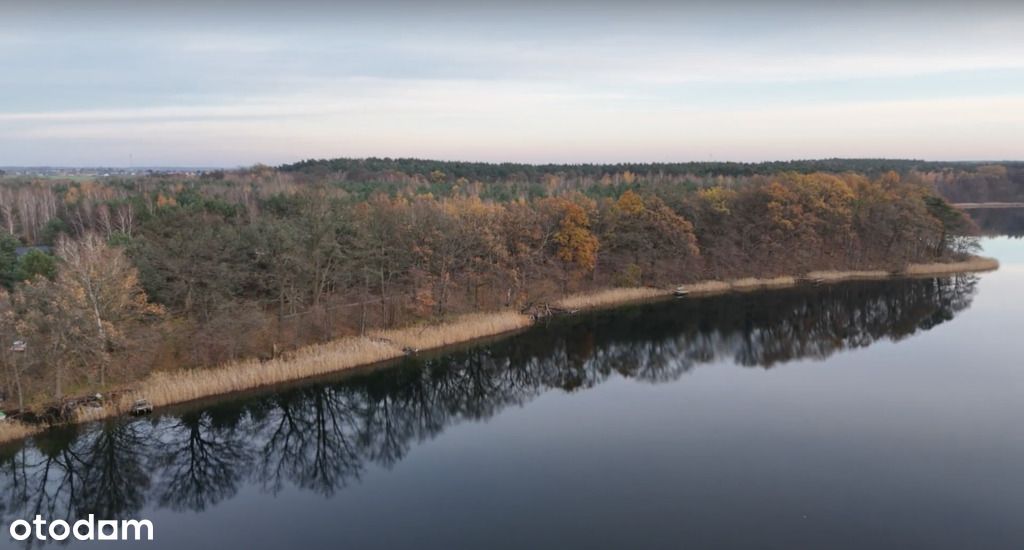 Zdrowy rozsądek nie wchodzi w grę!