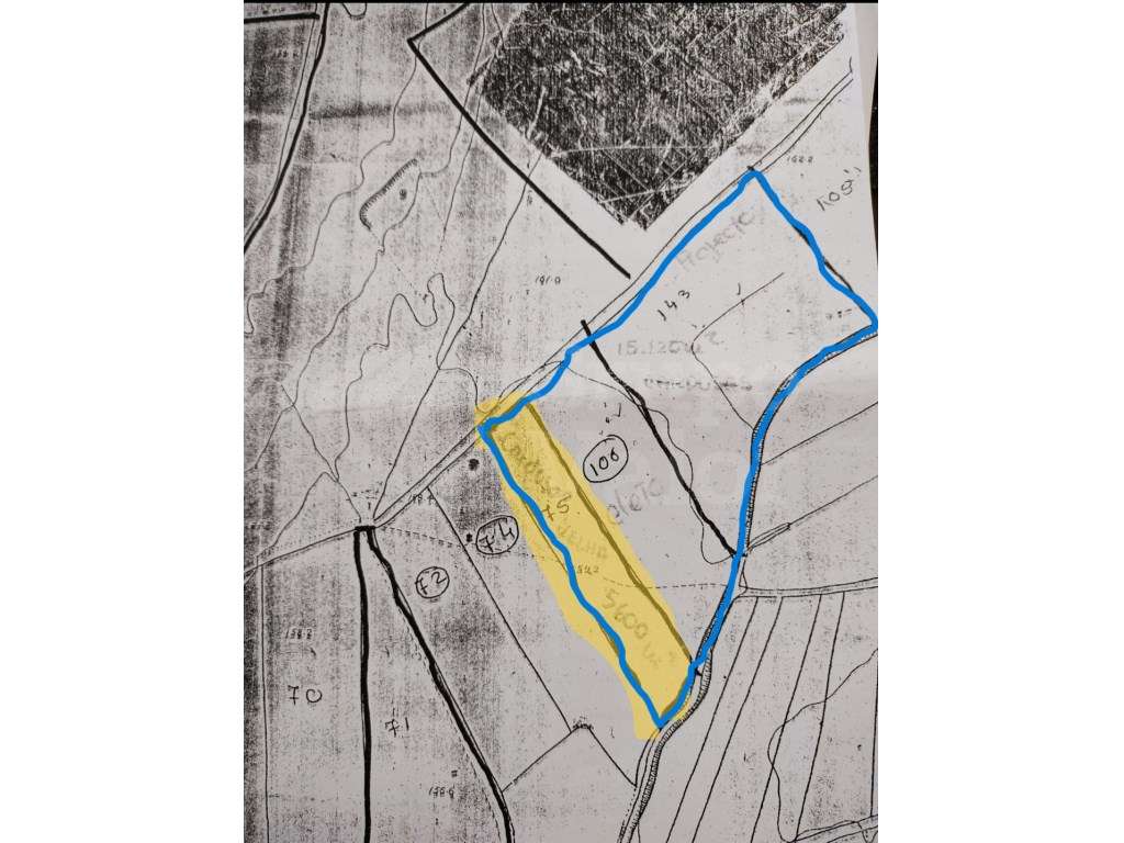 Lote Industrial Sabugo - Grande imagem: 3/3