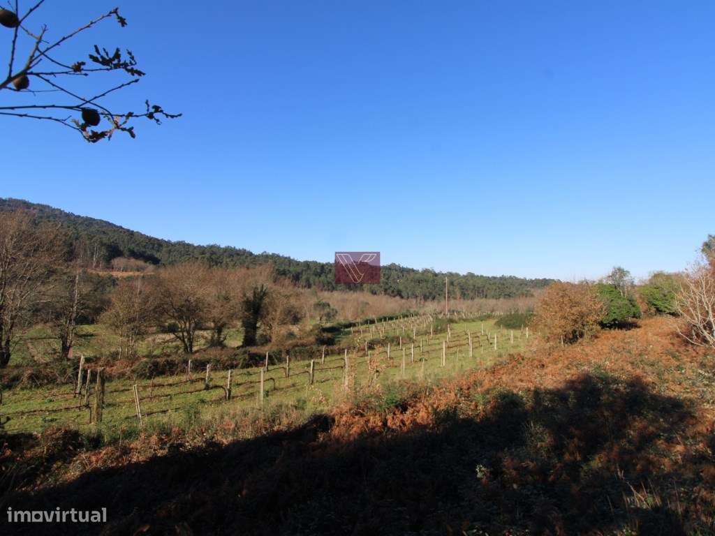 Terreno - Grande imagem: 5/12