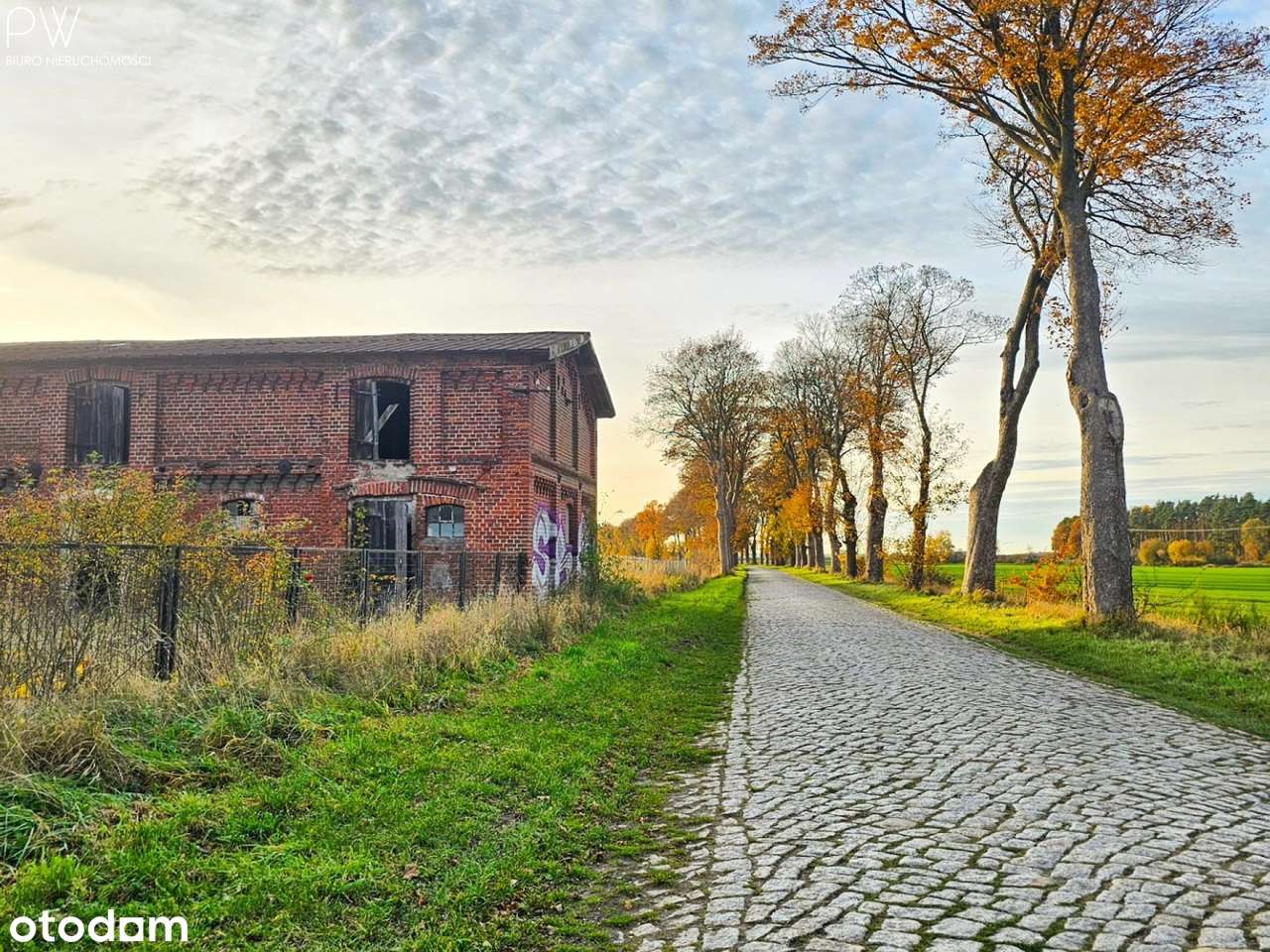 Siedlisko blisko Kołobrzegu - Pełny obrazek: 5/9