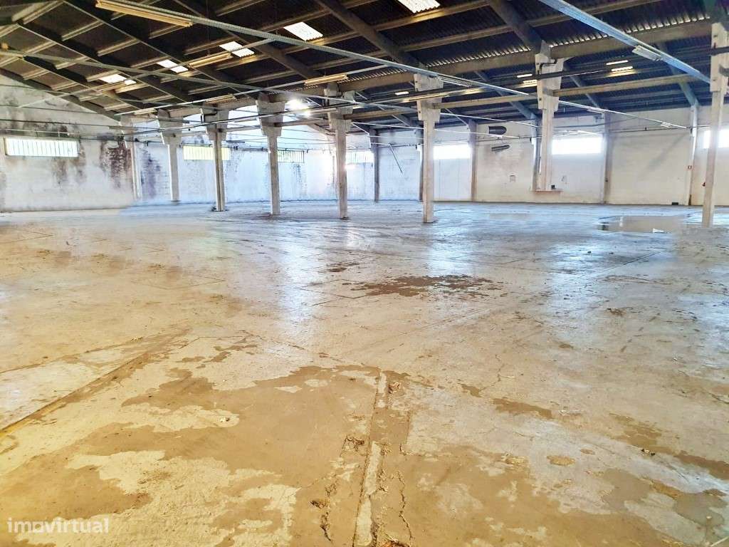 Unidade industrial em Nogueira da Maia - Grande imagem: 5/9