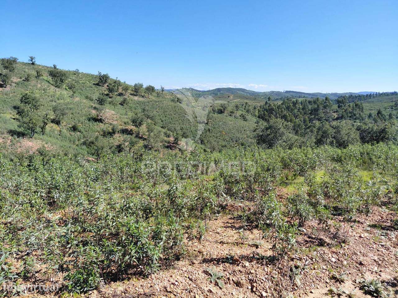 Terreno Rústico ,Sabóia,Odemira. - Grande imagem: 2/7