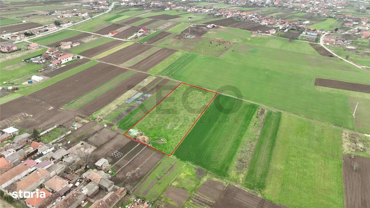 RECO Teren intravilan Girisu de Cris - Imagine principală: 5/5