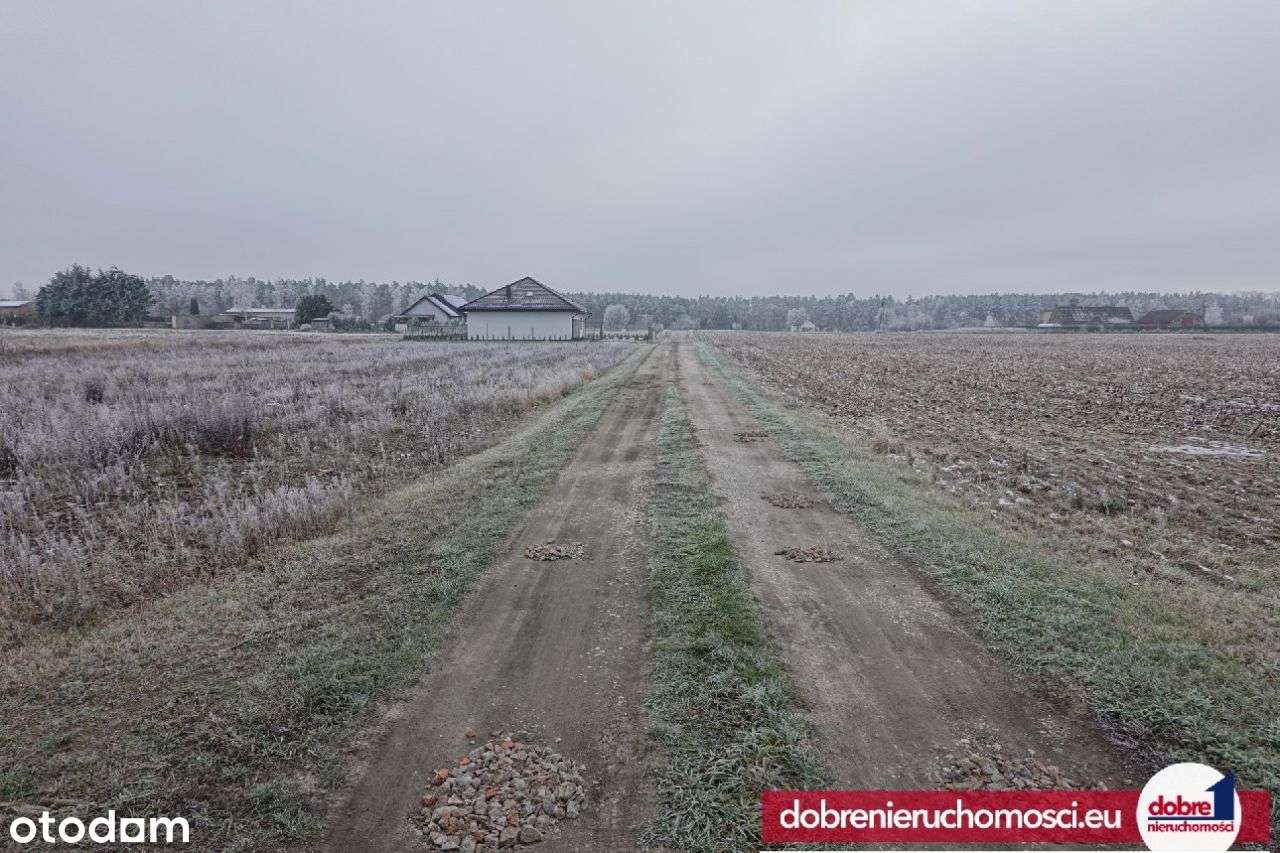 Atrakcyjna działka budowlana Toporzysko 1064 m2 - Pełny obrazek: 5/7