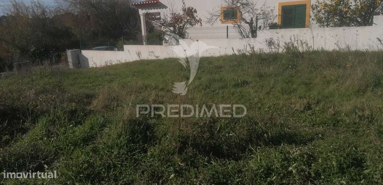 Lote em Monte Paleiros - Grande imagem: 4/9