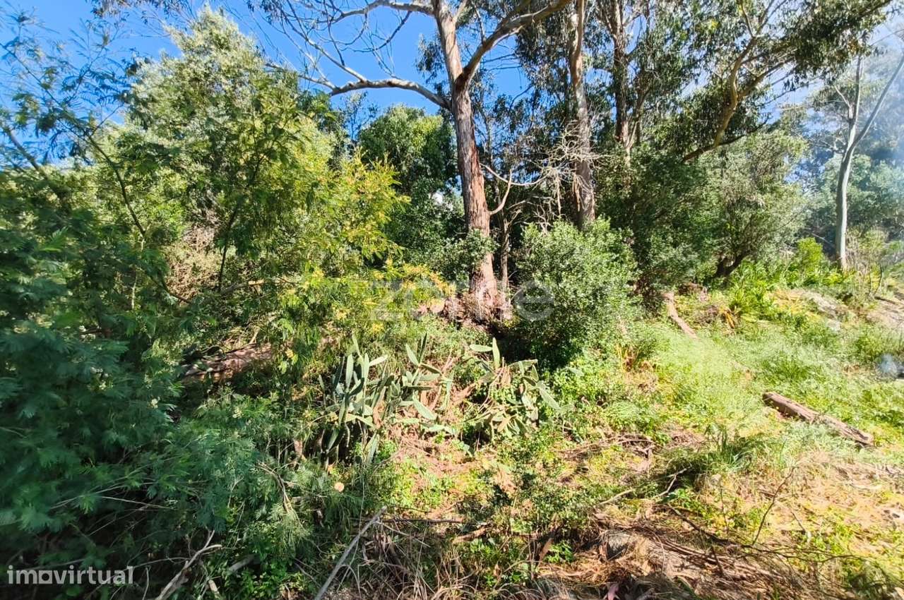 Propriedade única com 1.928 m² | Malveira da Serra-31