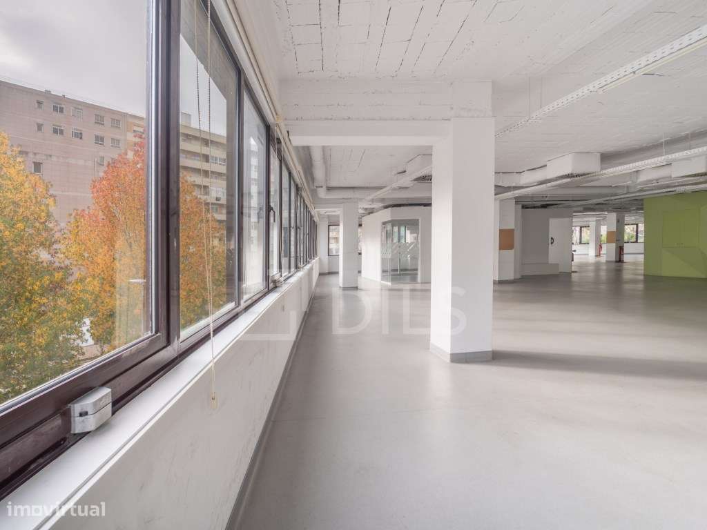 Escritório para arrendar, na Rua Ricardo Severo, Boavista - Grande imagem: 3/21