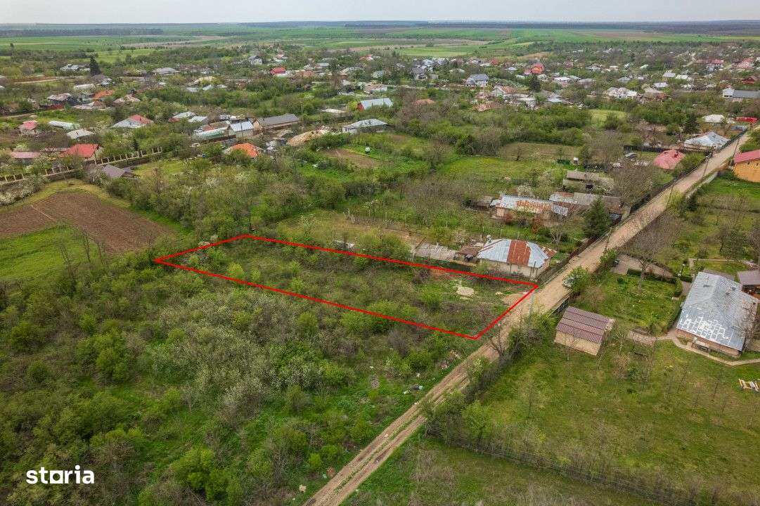 LETCA NOUA, TEREN CONSTRUCTII 1184 MP, FRONT 21 M ! - Imagine principală: 3/19