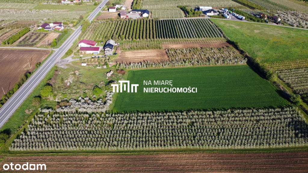 Duża działka rolna | 1.6 ha | Mpzp - Pełny obrazek: 4/9