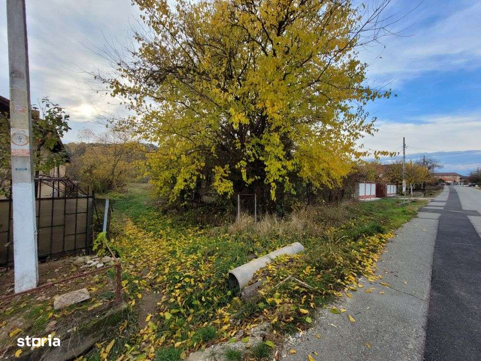 Vanzare teren intravilan, 4967  mp, utilitati, sat Rasova, Balesti. - Imagine principală: 5/9