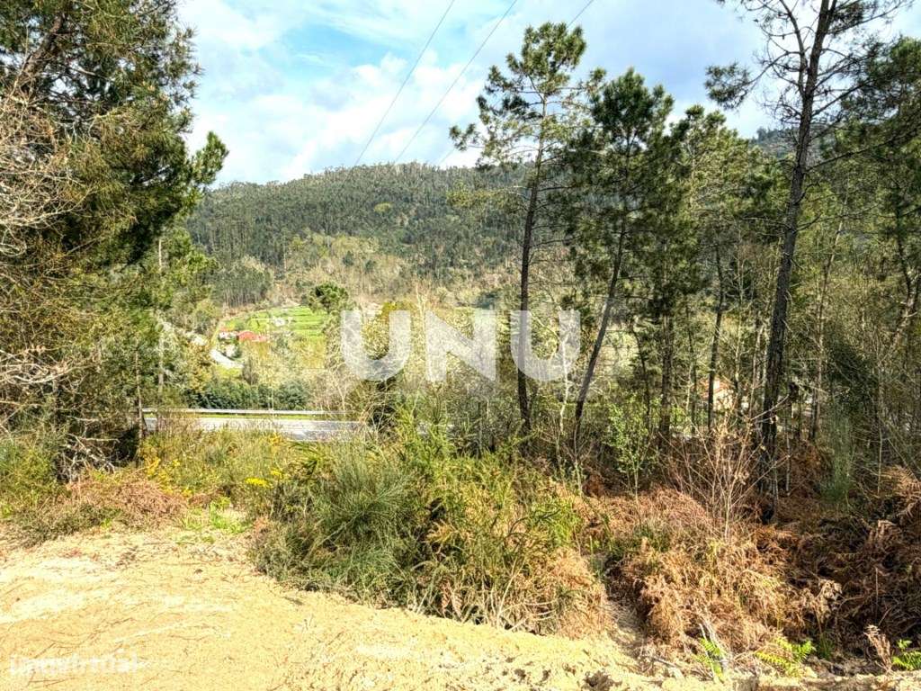 Terreno Rústico - Envolvente de Natureza-15