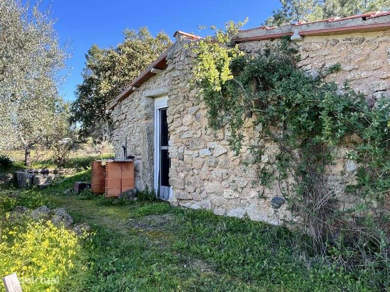 Rustic Land for sale, Monsanto - Grande imagem: 4/12
