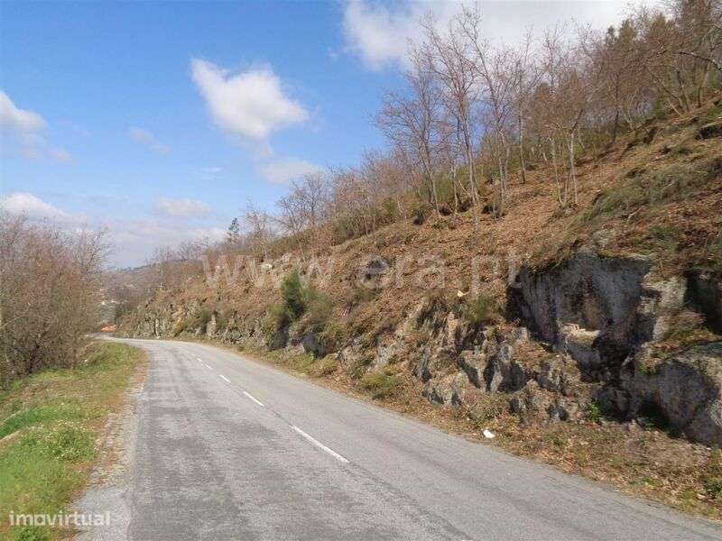 Terreno / Marco de Canaveses, Soalhães - Grande imagem: 5/6