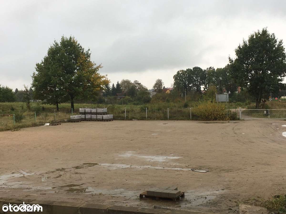 Morąg - Hala i działka, plac - Pełny obrazek: 4/12