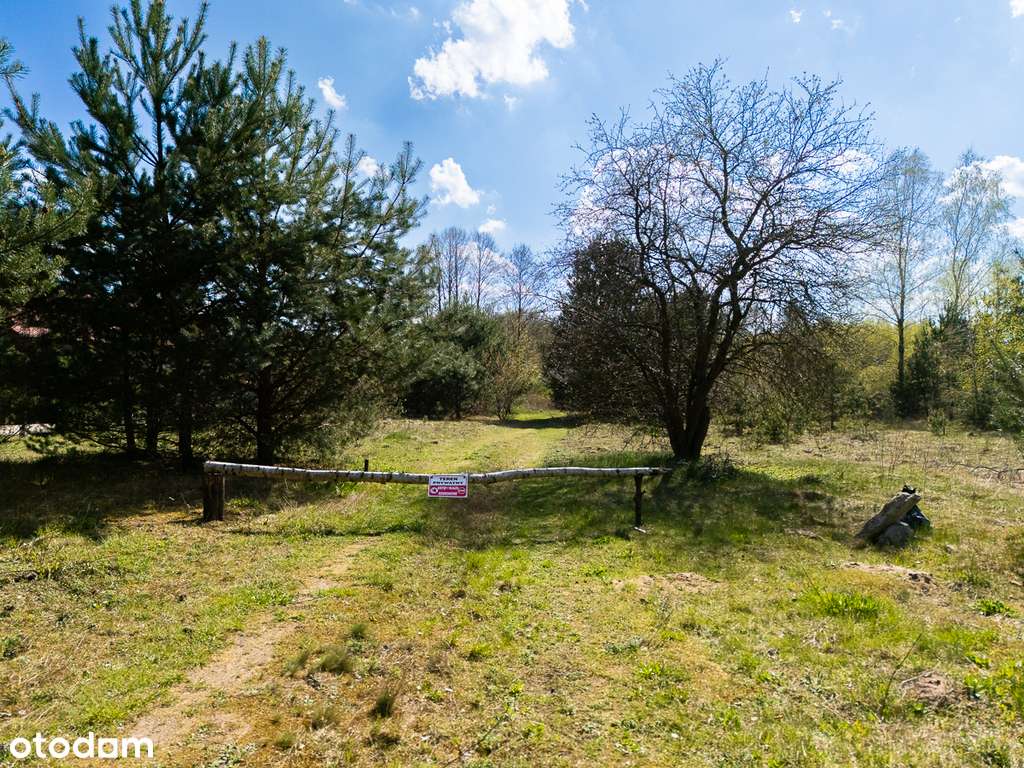 w stanie deweloperskim, na działce o pow. 3 490 m2 - Pełny obrazek: 4/13