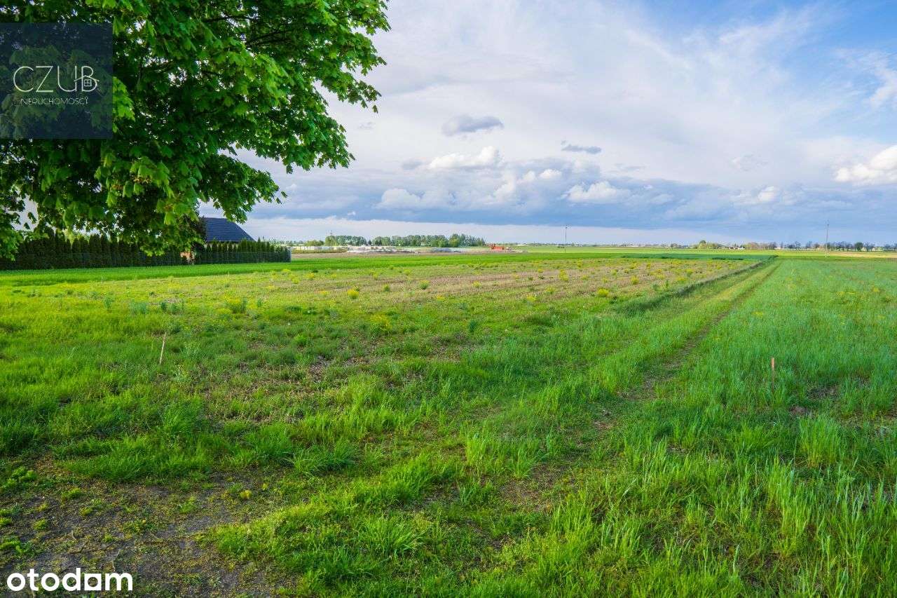 Działka w Łęknie / Jeziorach Małych / Lasy - Pełny obrazek: 5/12