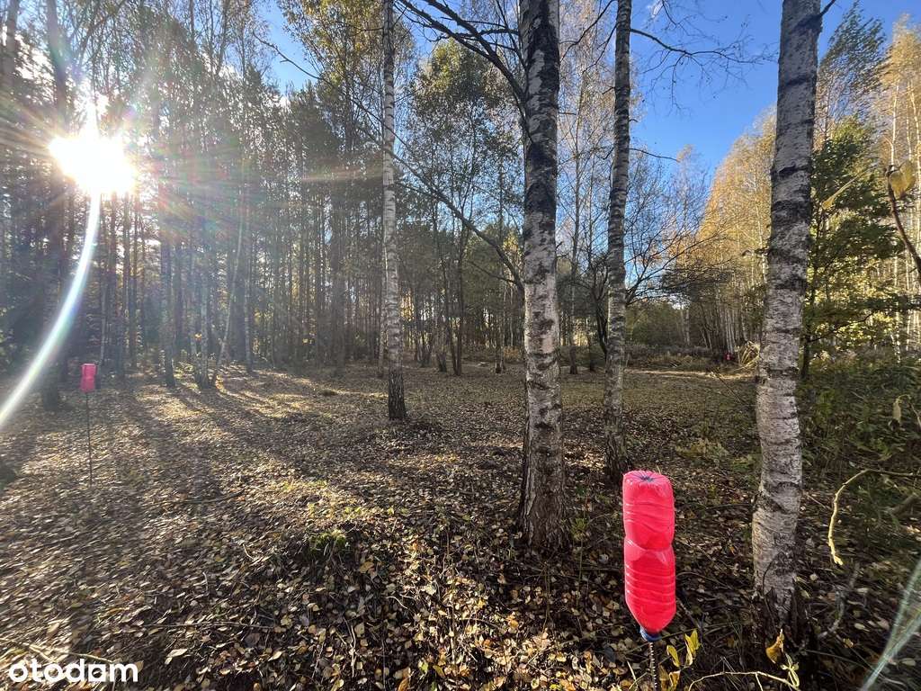 Piękna dzialka budowlana Puszcza Knyszynska - Pełny obrazek: 4/15