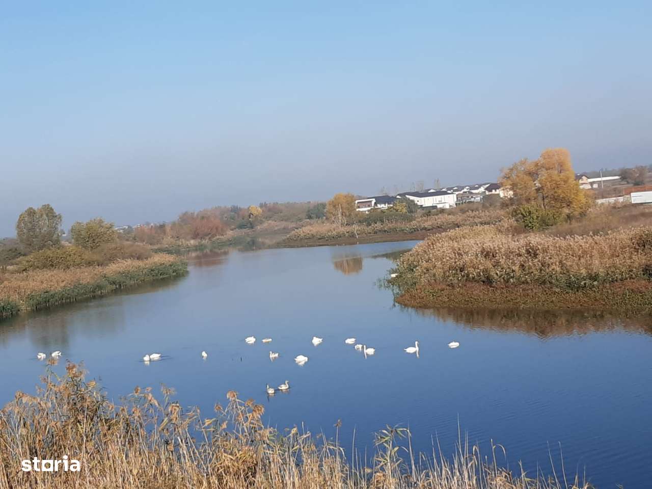 VAND TEREN LA LAC- in comuna Berceni Ilfov - Imagine principală: 2/2