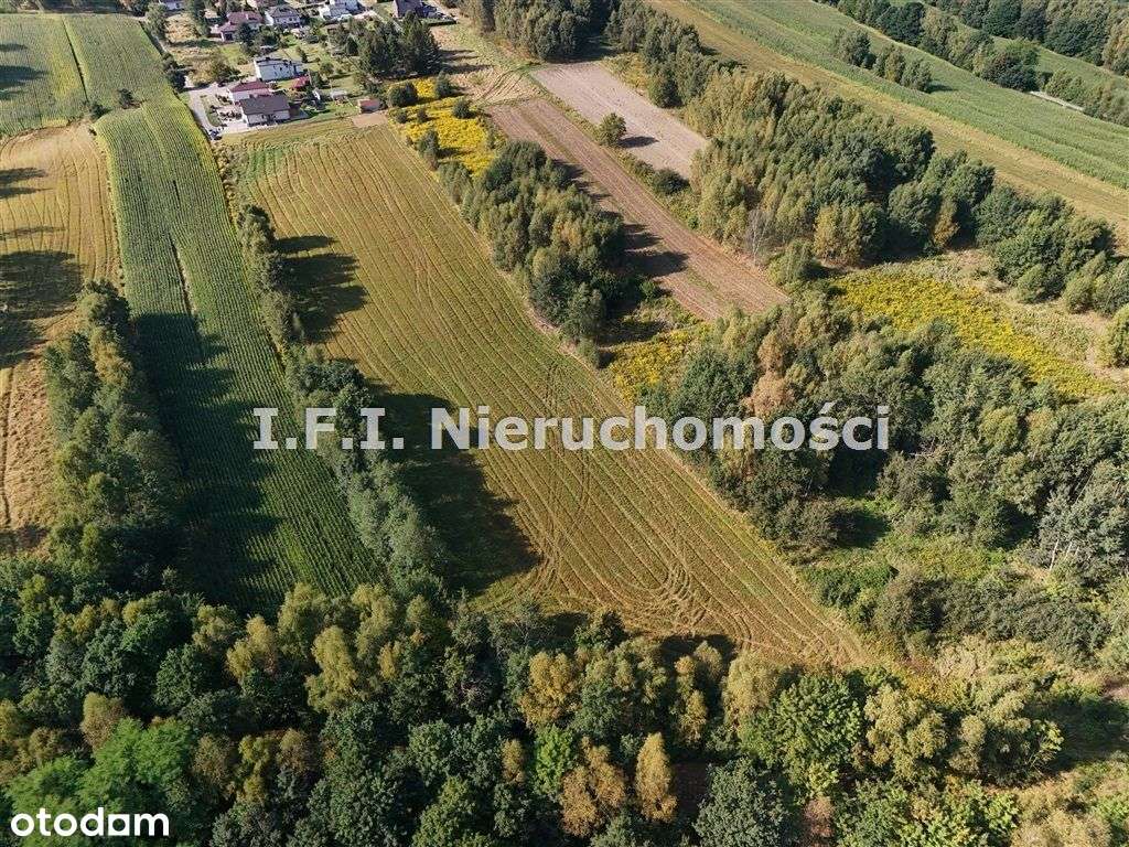 Cztery działki w malowniczej okolicy, dobra cena - Pełny obrazek: 4/4