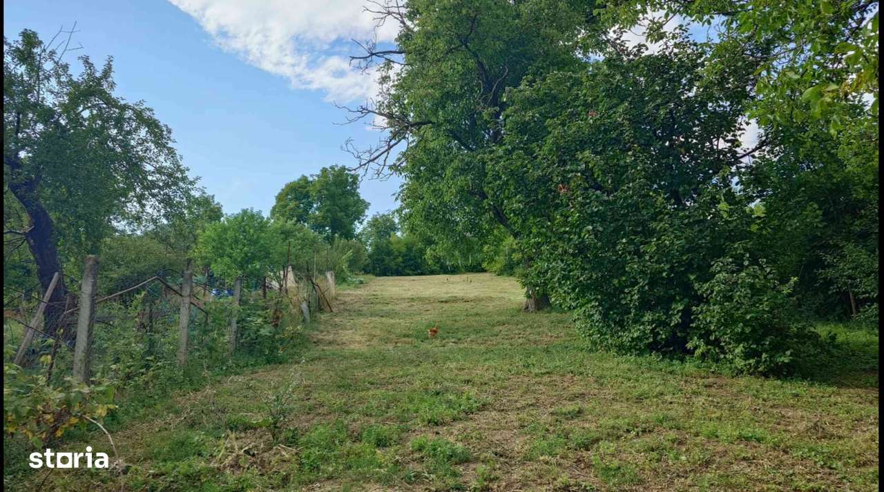 Teren Platou Cornești,StrNegoiului,2.036mp,cu toate utilitățile și PUZ-1