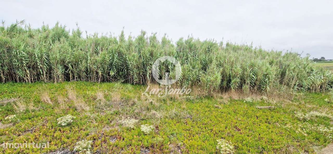 Lote para moradia c/903m2 na 1ª Linha de Praia em Vila do Conde - Grande imagem: 4/12