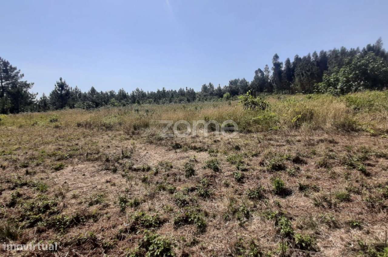 Terreno na Freguesia de Soure - Grande imagem: 1/17