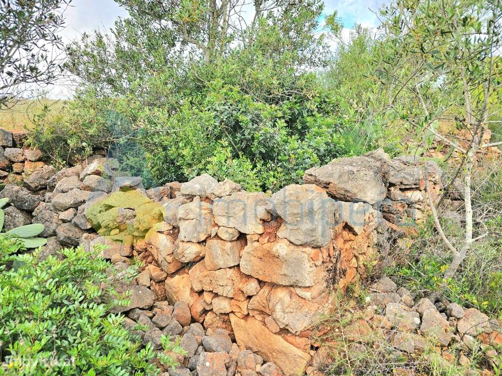 Algarve, Silves, Faxelhas! Terreno de 23.786m2 e Urbano: 120m2. Ime... - Grande imagem: 4/12