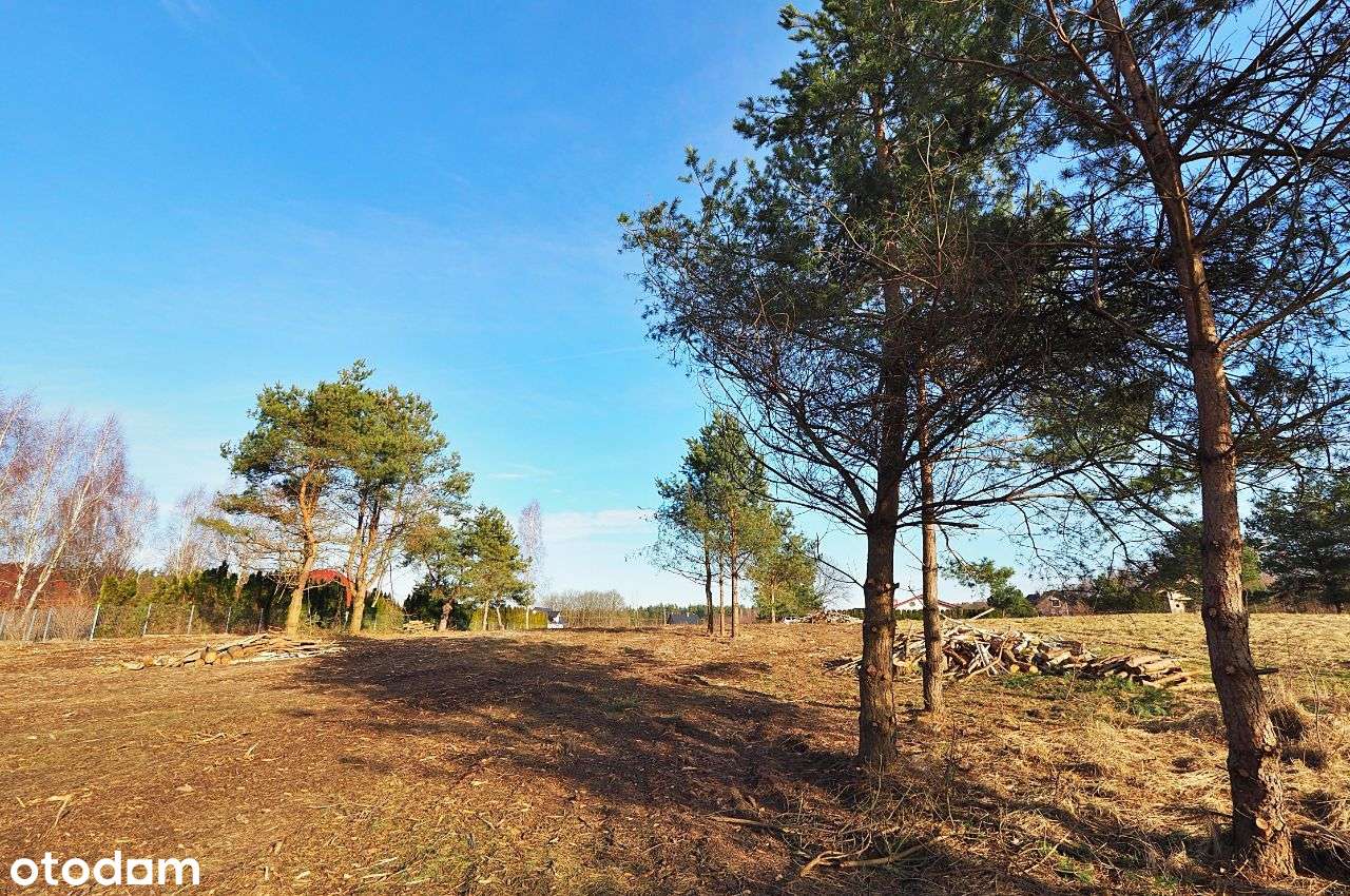 Działki w Szczeglinie gm. Sianów - Pełny obrazek: 2/9