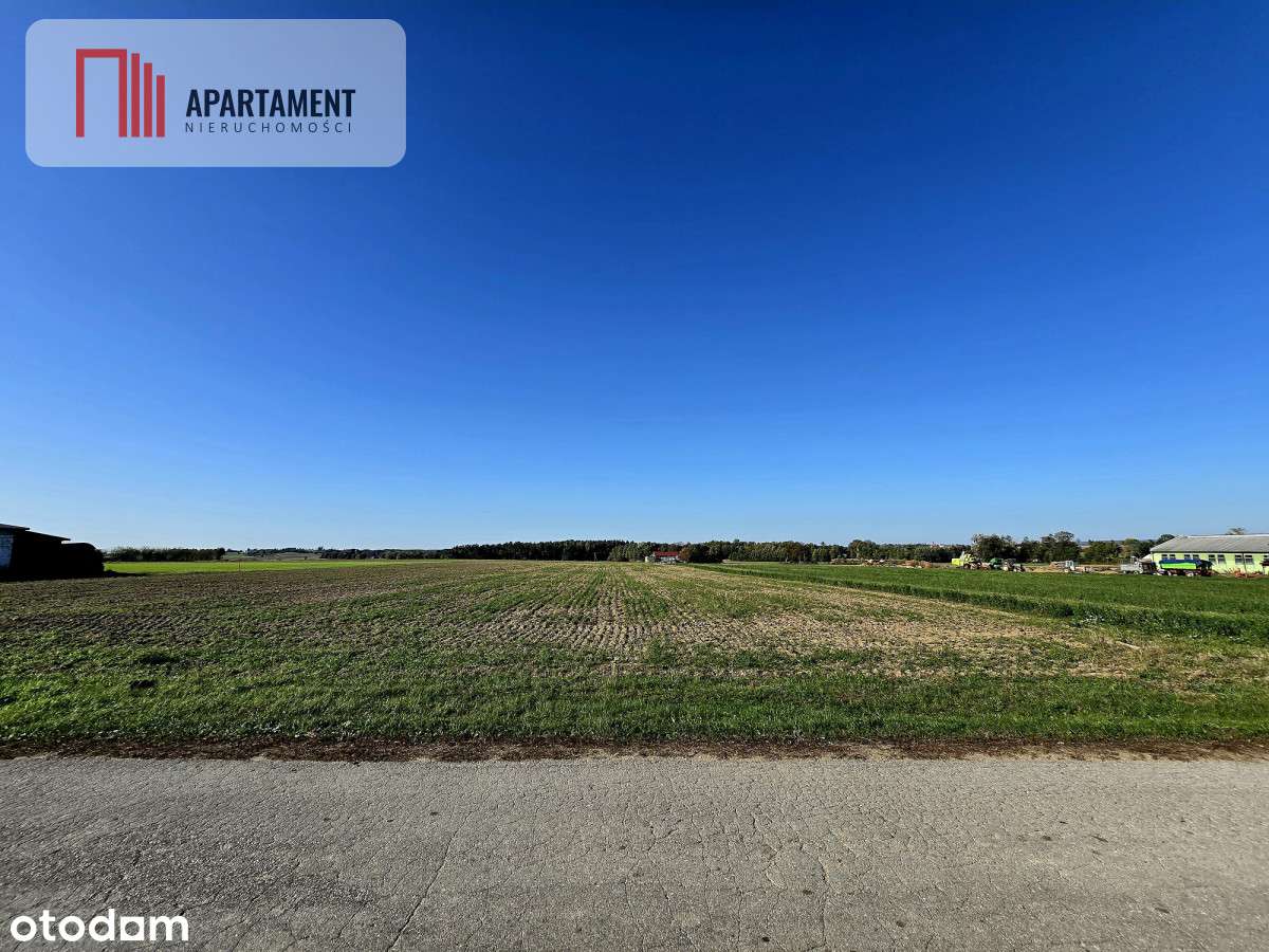 *Działka z warunkami zabudowy Dąbrówka Słupska - Pełny obrazek: 5/8