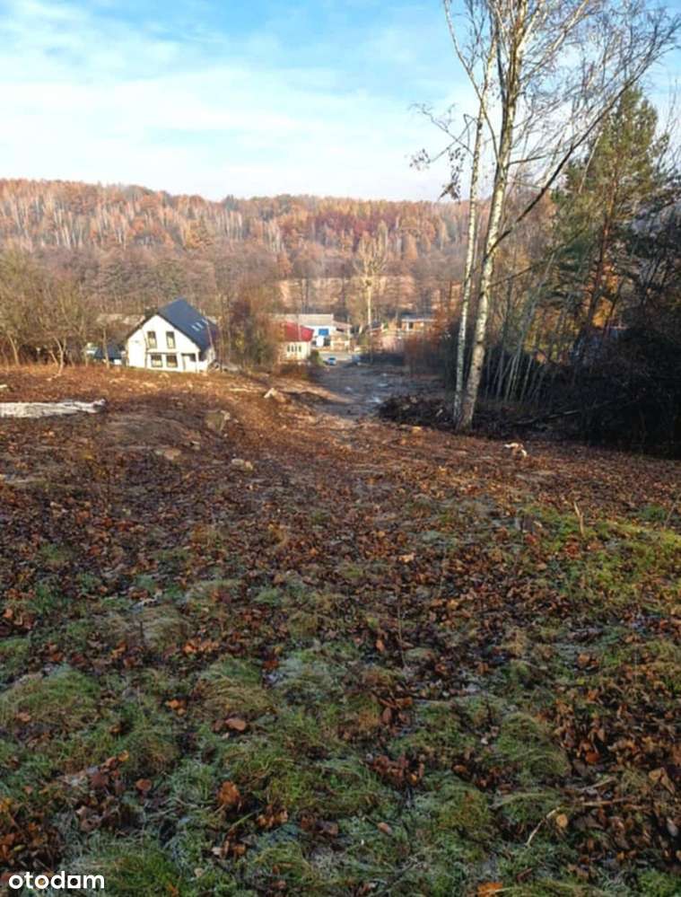 Wzgórze z widokiem i lasem - idealne miejsce na dom pod Nałęczowem. - Pełny obrazek: 5/7