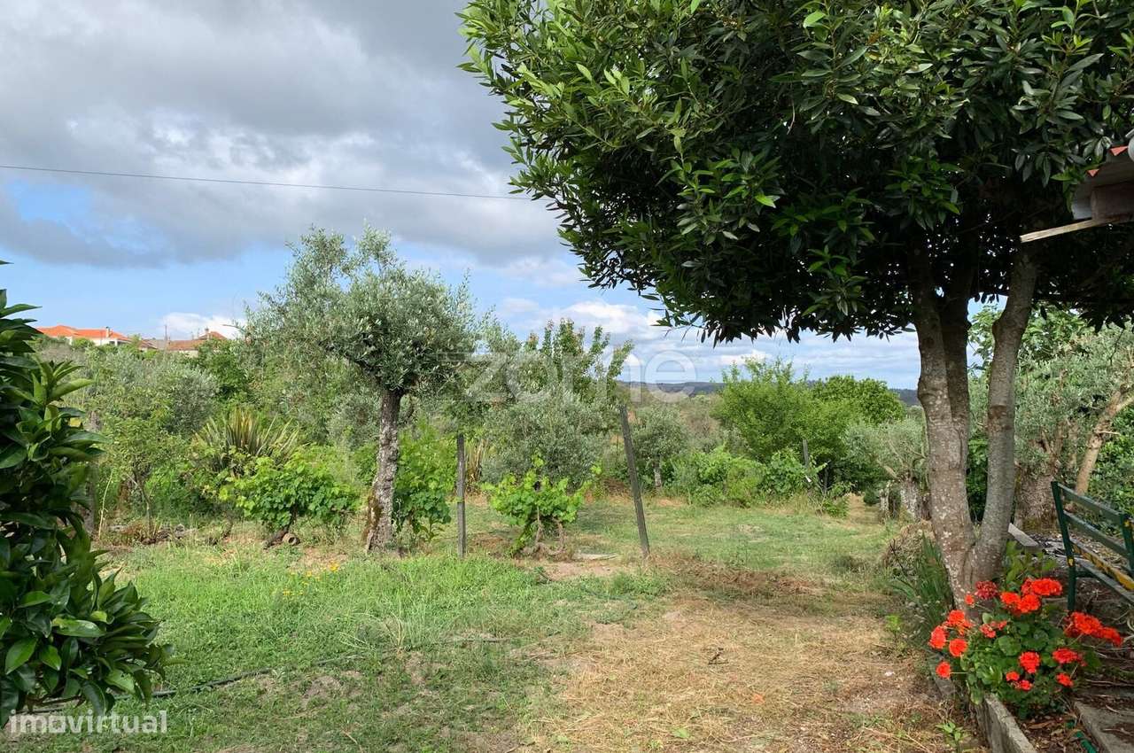 Terreno Urbanizável em Quintela da Azurara - Grande imagem: 3/21