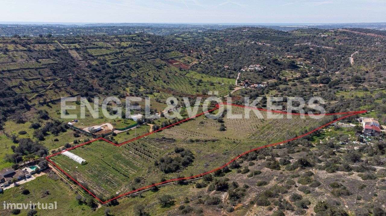 Terreno com Potencial para Agricultura Biológica - Grande imagem: 3/4